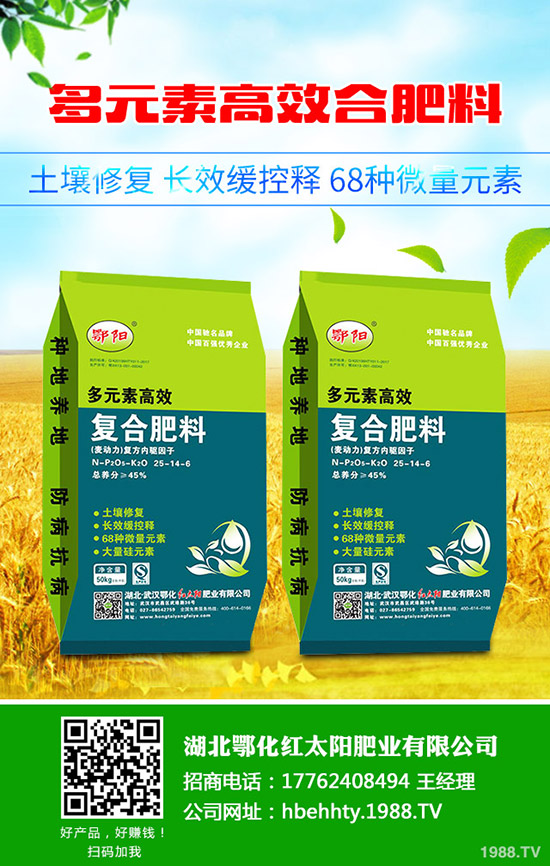 豆角種植時(shí)間,豆角種植方法要點(diǎn)!