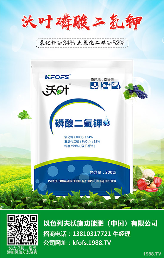 韭菜育苗需要移栽嗎?春季韭菜育苗移栽的注意事項(xiàng)