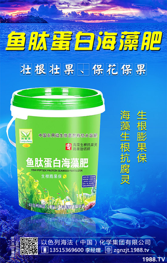 韭菜育苗需要移栽嗎?春季韭菜育苗移栽的注意事項(xiàng)