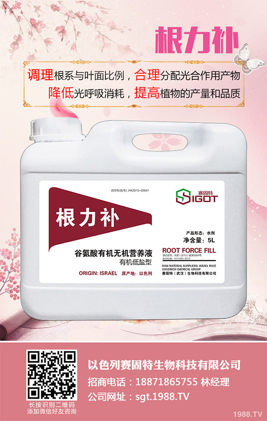 小麥春季常見(jiàn)的病害有哪些?該如何防治?春季小麥病害防治方法介紹