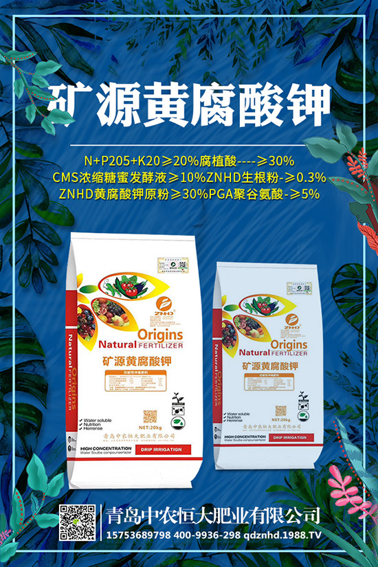 紺˷Nֲg(sh)ЩgҪעʲô