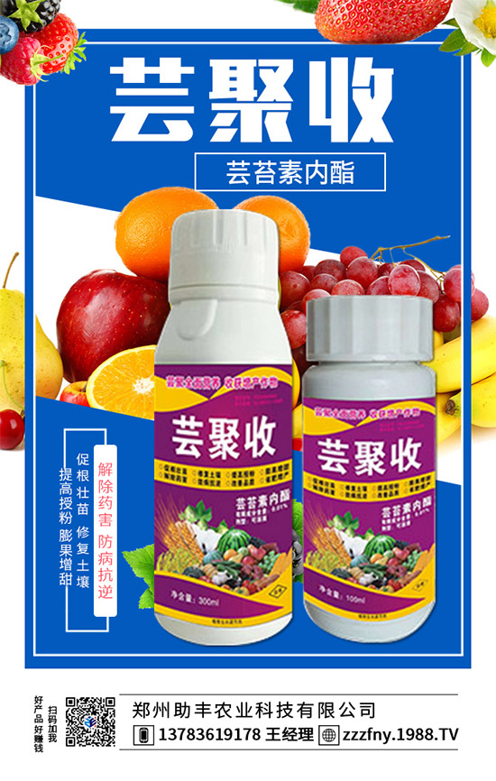 r(nng)W(wng)ٺSr(nng)I(y)M(zhn)Ժ