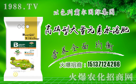 合作共謀發(fā)展,以色列霸爾再簽1988.TV開創(chuàng)新輝煌!