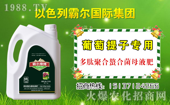 合作共謀發(fā)展,以色列霸爾再簽1988.TV開創(chuàng)新輝煌!