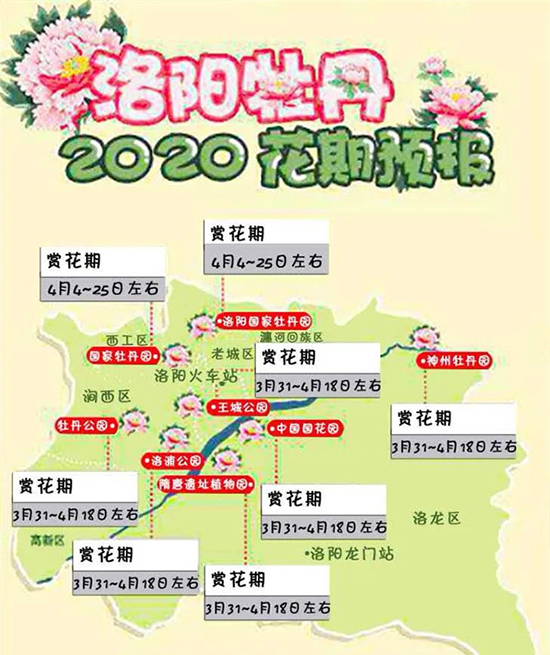 2020洛陽牡丹花會