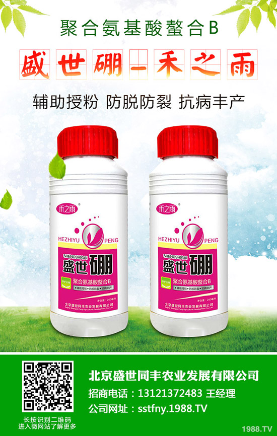 δM(jn)ϷNӰl(f)ѿϷNӰl(f)ѿҪעЩ}