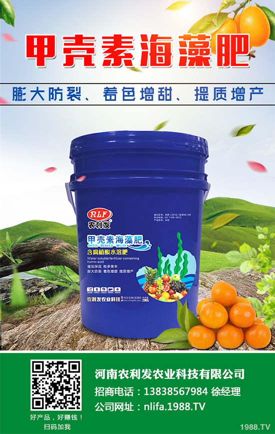 NֲgX2020gNֲǰЧ