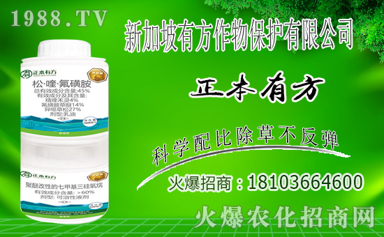 ռ̙C(j)A¼зﱣo(h)v1988.TV