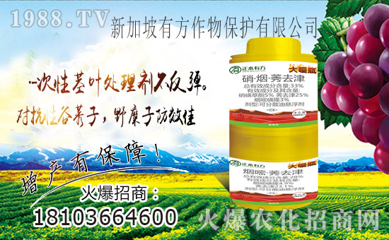 ռ̙C(j)A¼зﱣo(h)v1988.TV