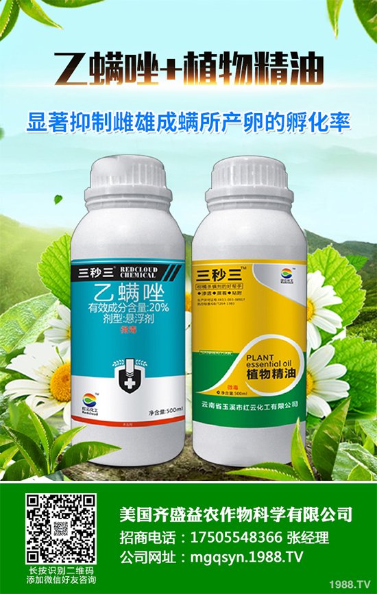     ӰS_ʵͣ2020-03-20ȚxrǶ