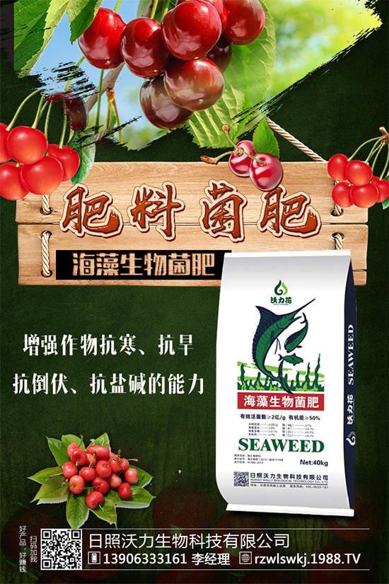 馬蹄市場前景怎么樣?馬蹄種植方法要點有哪些呢?