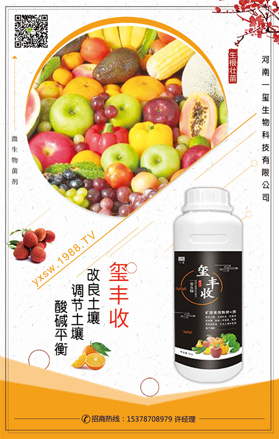 葫蘆的生長習性,葫蘆種植技術要點!