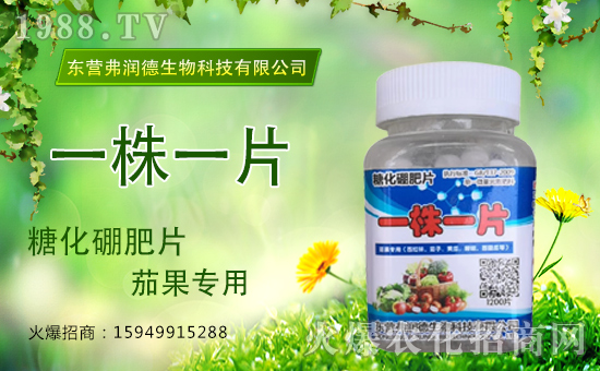     ɹv1988.TV\°l(f)չ