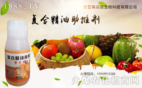     ɹv1988.TV\°l(f)չ