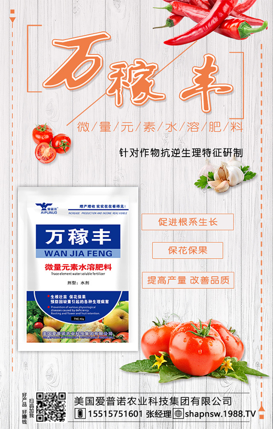 茶葉是什么時(shí)候種植的?茶葉的市場前景及種植效益!