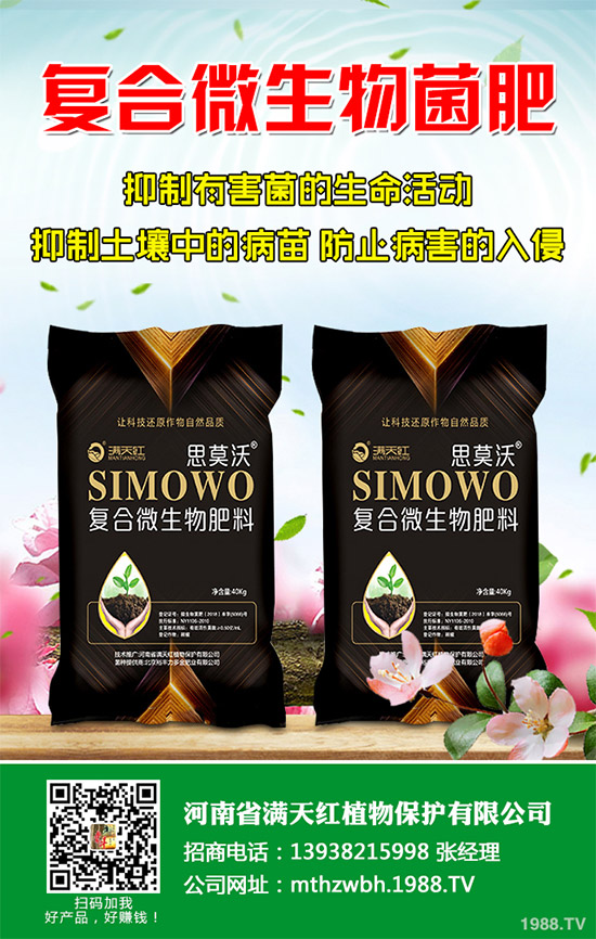 ʩ2020괺׿ƌW(xu)ʩʽh