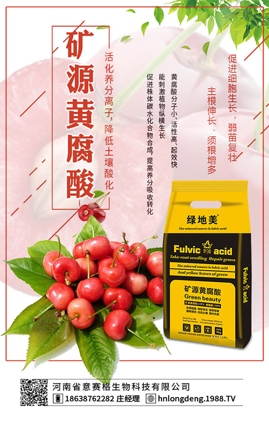 ʩ2020괺׿ƌW(xu)ʩʽh