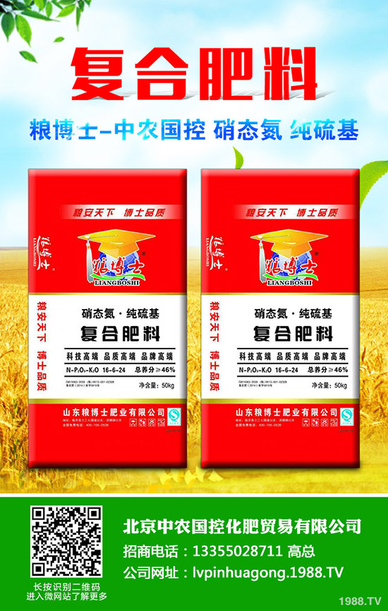 茭白什么季節(jié)種植,茭白種植技巧有哪些?