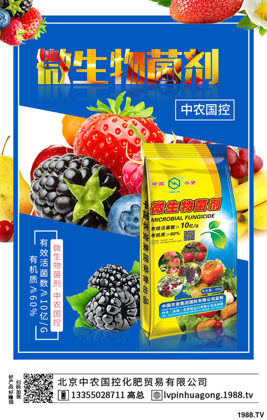 ʲôIB(yng)r(ji)ֵϵĹЧʳע(xing)