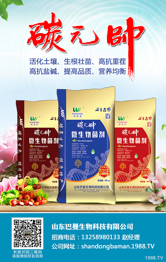 2020年3月下旬最新復(fù)合肥價格行情走勢預(yù)測!