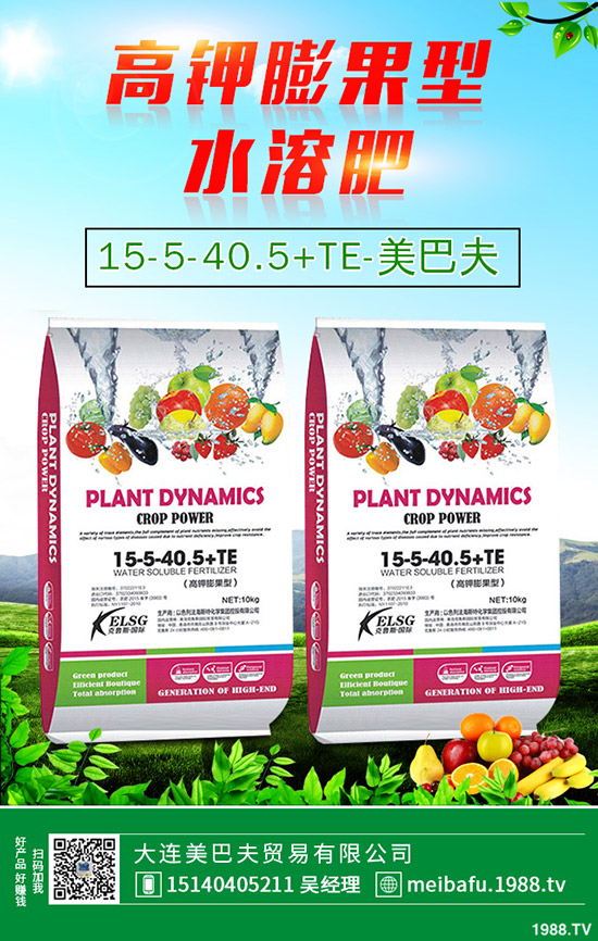 ôʩʩҪc(din)Щ