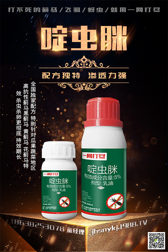 白粉虱對(duì)辣椒有什么危害?辣椒白粉虱怎樣防治好?