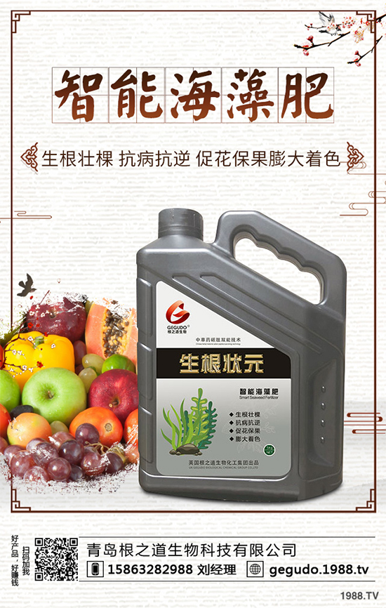 棉花種植怎么管理?棉花各個(gè)生長(zhǎng)期的管理技術(shù)要點(diǎn)!