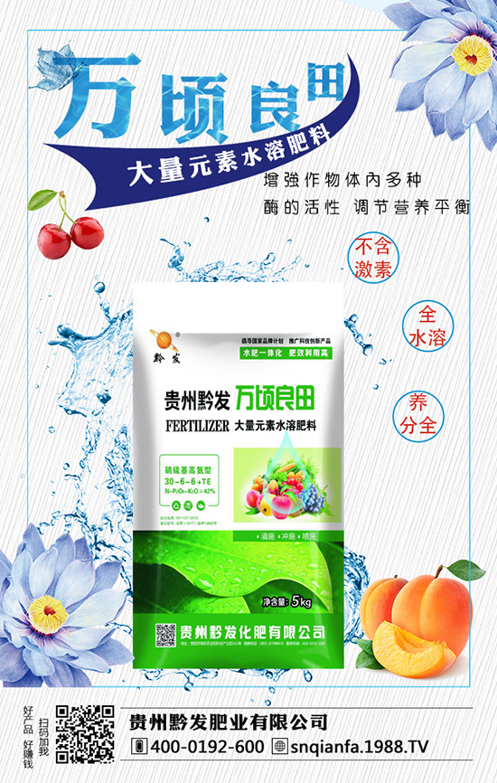 西蘭花育苗技術(shù)有哪些,西蘭花育苗的注意事項(xiàng)!