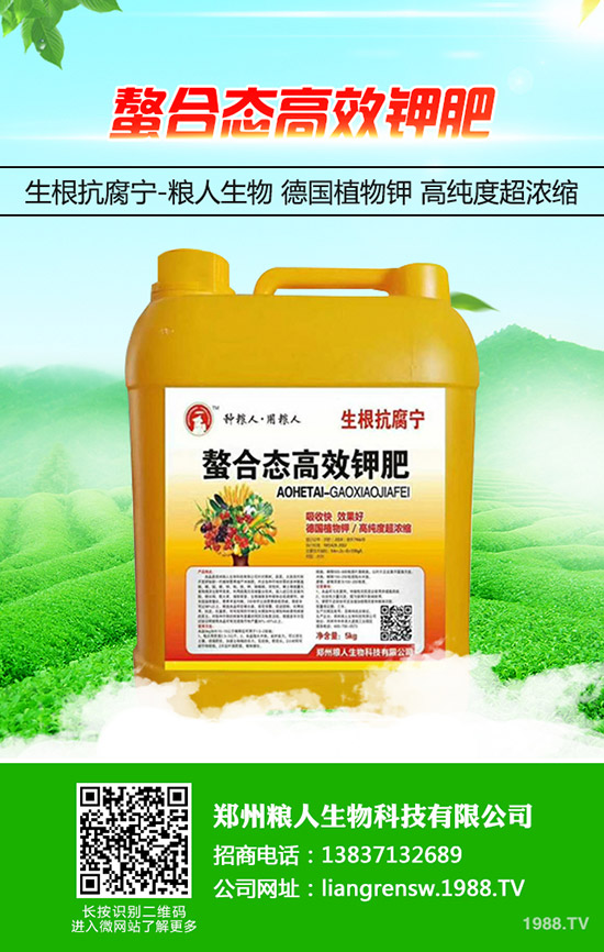 蔥得了灰霉病怎么辦?大蔥灰霉病的防治方法!