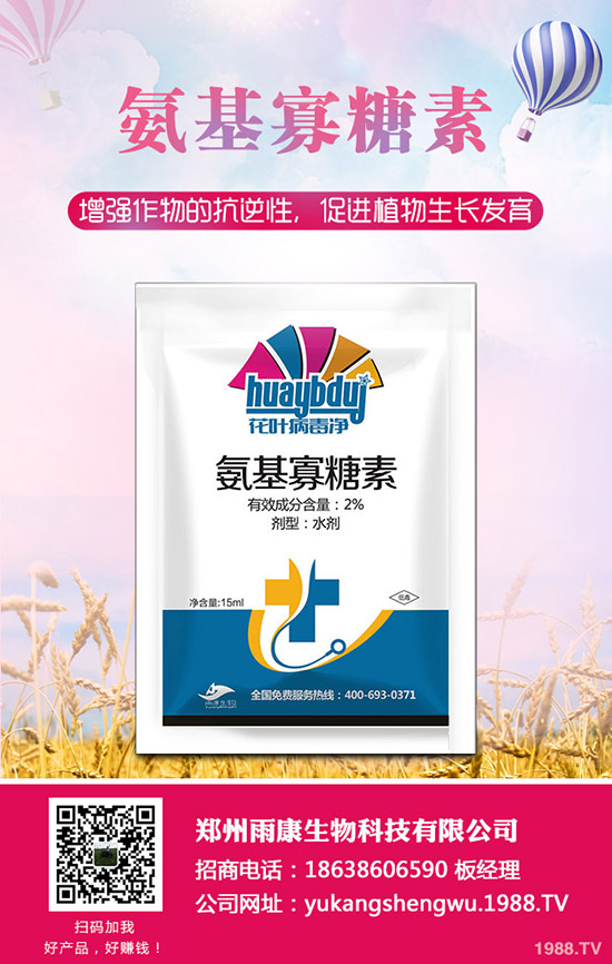 番茄發(fā)生肥害怎么辦?番茄肥害怎么快速恢復?