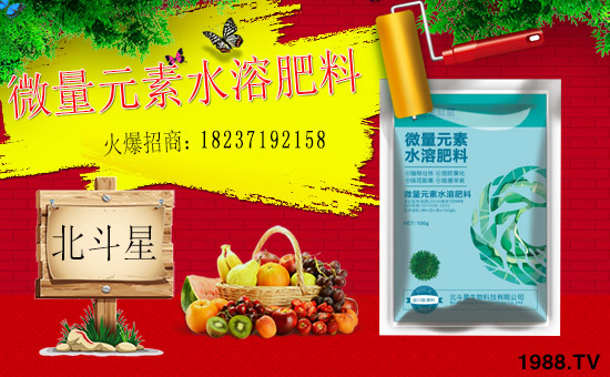 1988.TV喜迎新伙伴,河南北斗星攜手1988.TV共贏未來!