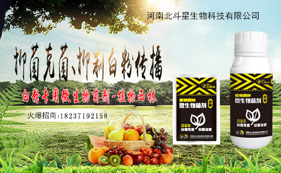 1988.TV喜迎新伙伴,河南北斗星攜手1988.TV共贏未來!