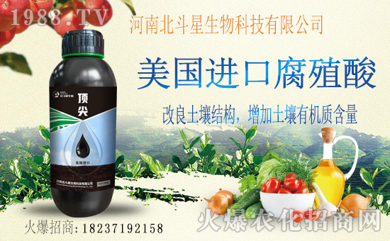 1988.TV喜迎新伙伴,河南北斗星攜手1988.TV共贏未來!