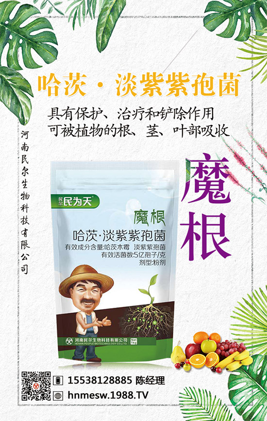 合作升級!河南民爾再簽1988.TV,共創(chuàng)新輝煌!