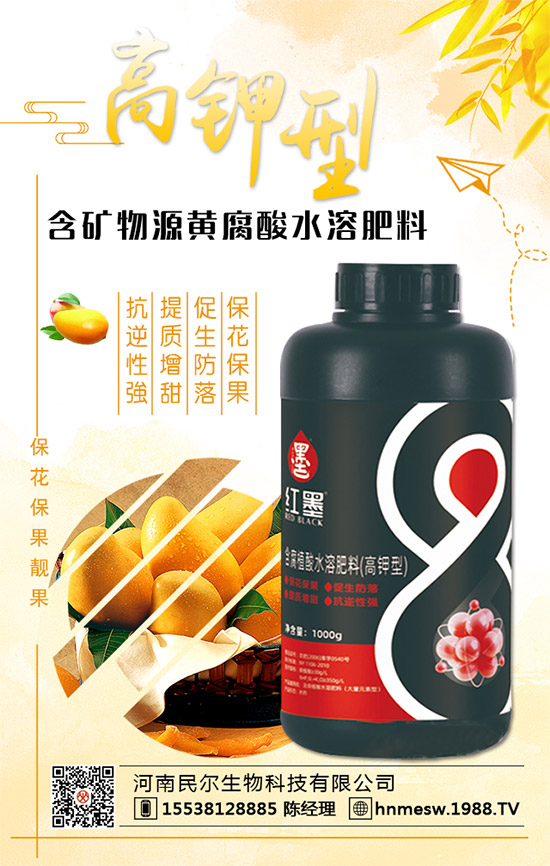 合作升級!河南民爾再簽1988.TV,共創(chuàng)新輝煌!