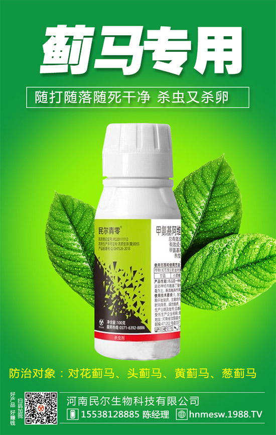 合作升級!河南民爾再簽1988.TV,共創(chuàng)新輝煌!