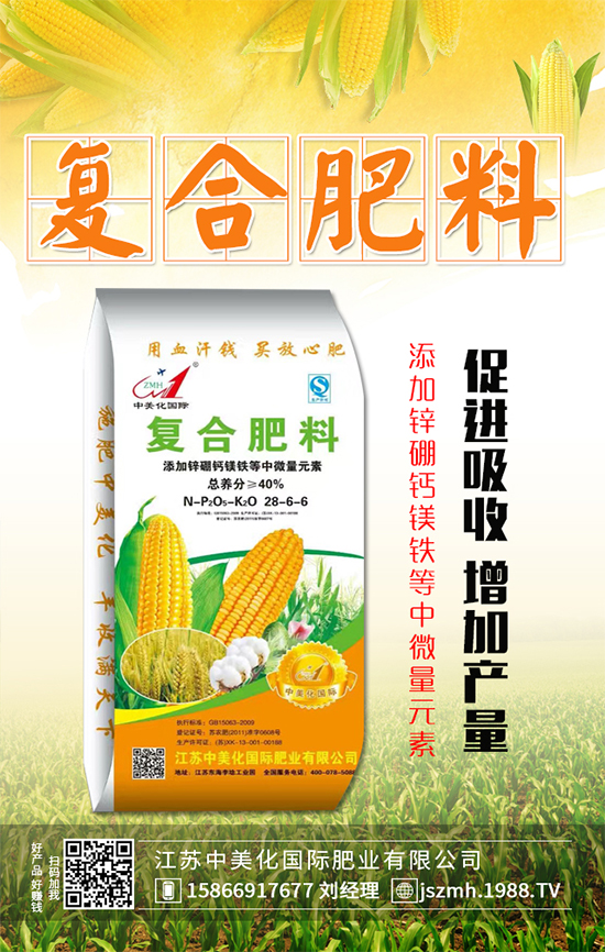 茄子什么時間育苗?茄子育苗的栽培管理要點!