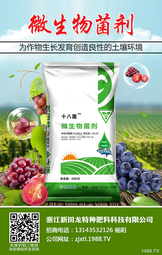 南瓜需肥規(guī)律,南瓜的施肥方法