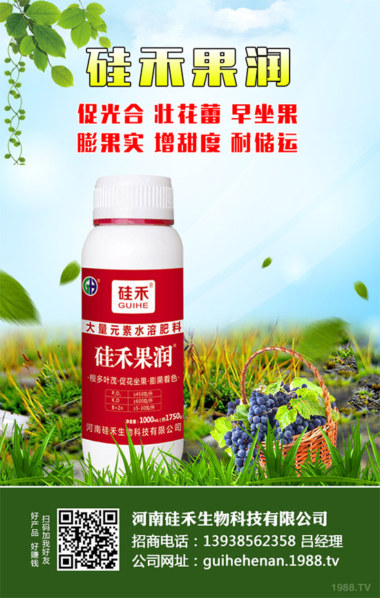 \°l(f)չϹٴκs1988.TV