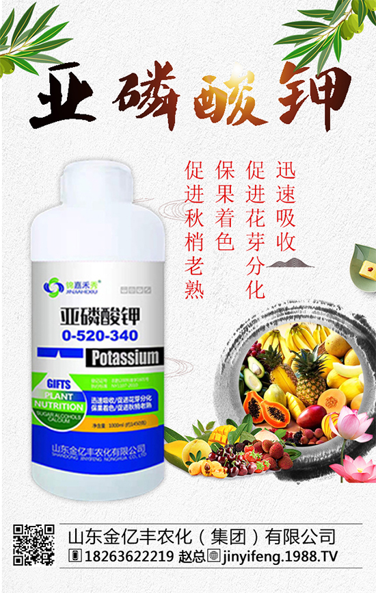 (zhn)Ժɽ||Sٺ1988.TVA2020