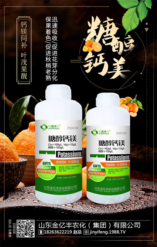 (zhn)Ժɽ||Sٺ1988.TVA2020