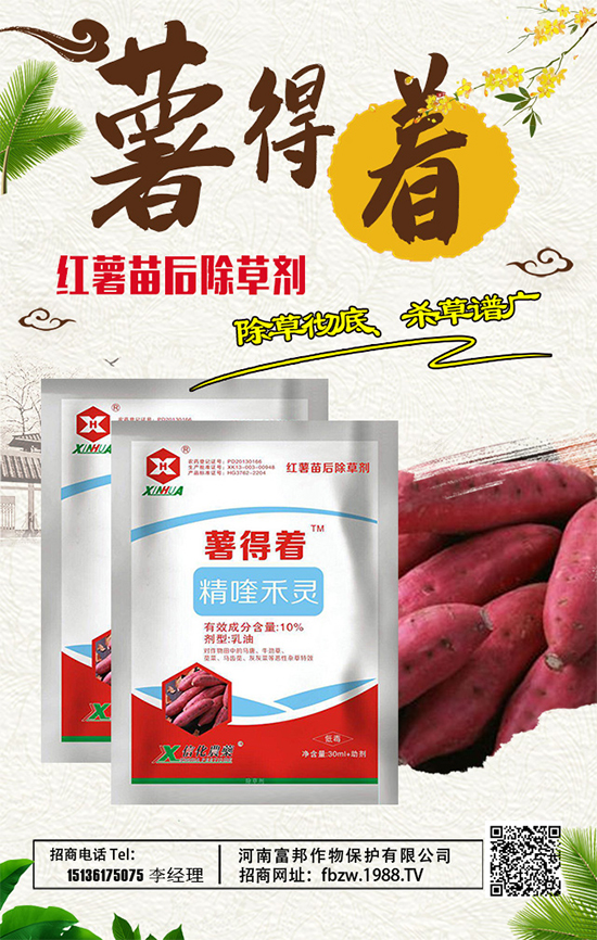 ϸٶȔy1988.TVyֹ(chung)(zhn)(j)ل(chung)x