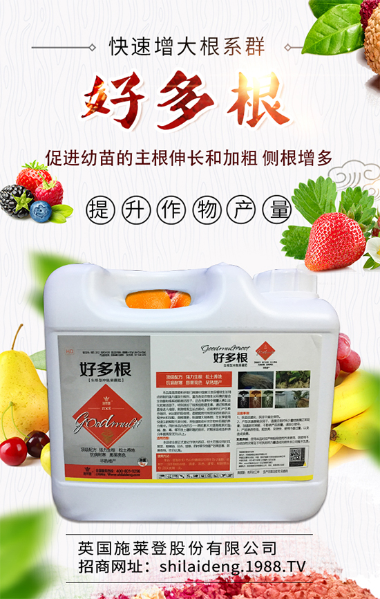 春季菠菜在什么時候種植好?菠菜種植技術要點有哪些?