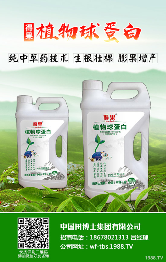 桃樹褐腐病癥狀及發(fā)病規(guī)律,桃樹褐腐病怎么防治?