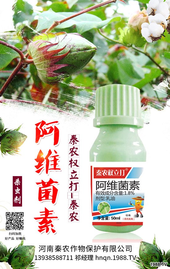 番茄生理性卷葉是什么原因?番茄生理性卷葉病的防治!