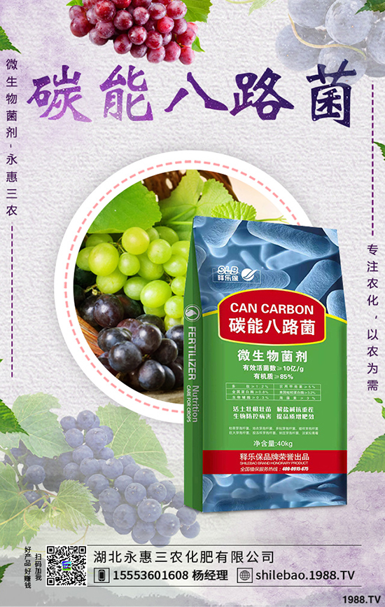 {˷Nֲr(sh)gʲôr(sh){˷Nֲg(sh)