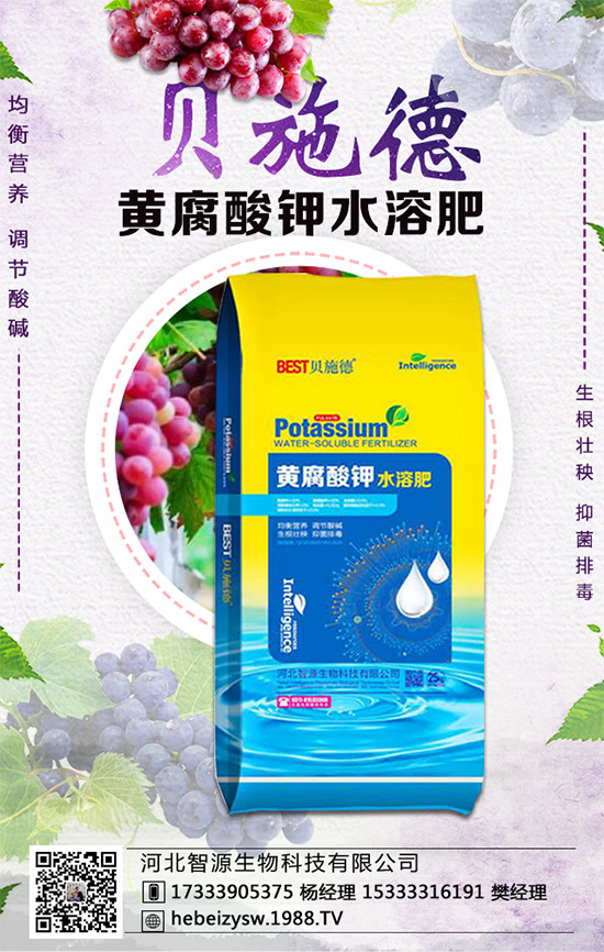 ϵϲNҪc(din)Nֲܶ