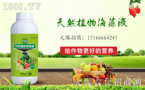 火爆農(nóng)化網(wǎng)喜迎新盟友,攜手青島菲爾普斯共走財富之路!