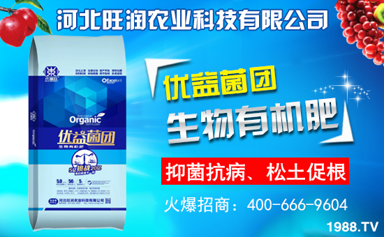 ӱ(rn)r(nng)I(y)m(x)s1988.TV\°l(f)չ