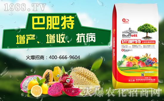 ӱ(rn)r(nng)I(y)m(x)s1988.TV\°l(f)չ